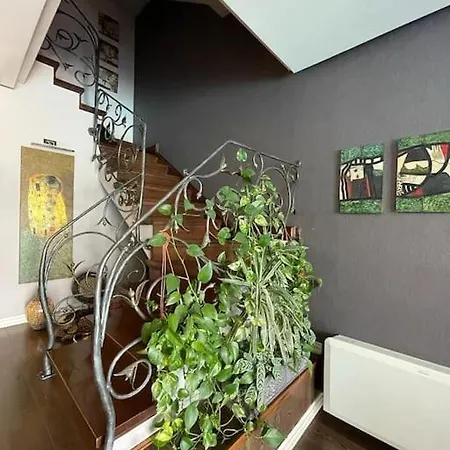 Villa Tranquility In With Pool Tirana