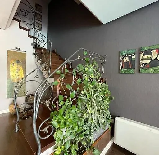 别墅 Tranquility In With Pool 地拉那